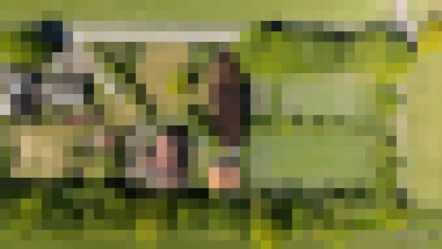 Duivendansweg 11 Wezep thumbnail 71