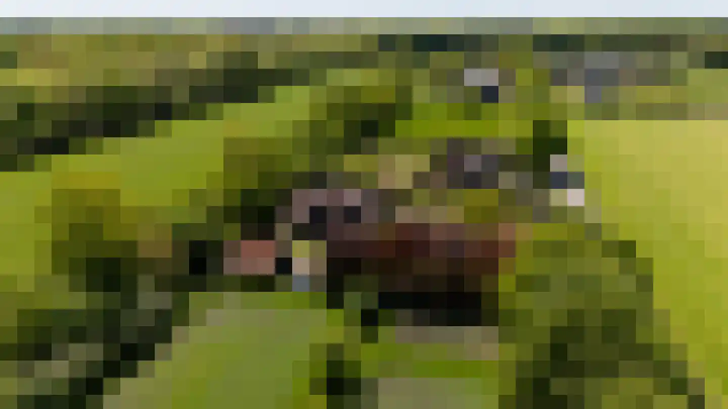Duivendansweg 11 Wezep thumbnail 72