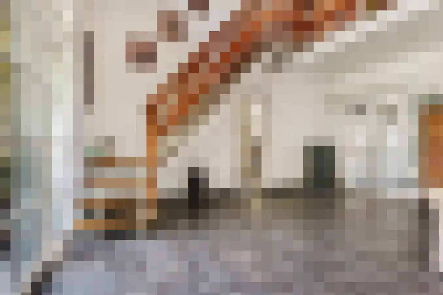 Duivendansweg 11 Wezep thumbnail 8