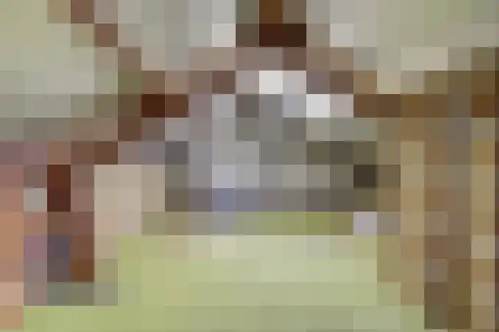Duiveneestraat 24 Kruiningen thumbnail 23