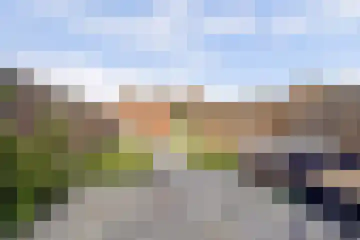 Duiveneestraat 24 Kruiningen thumbnail 24