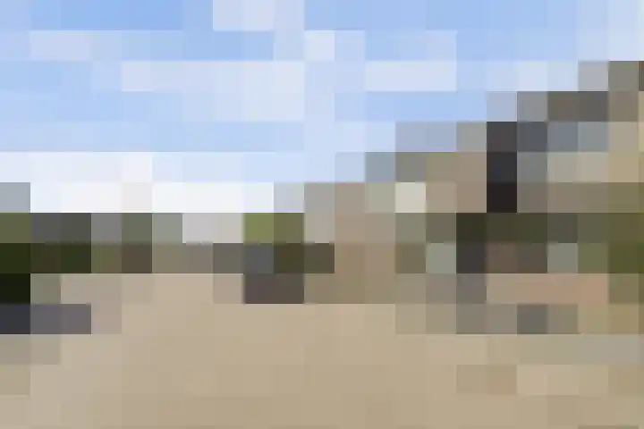 Duiveneestraat 24 Kruiningen thumbnail 32