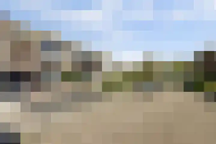 Duiveneestraat 24 Kruiningen thumbnail 33