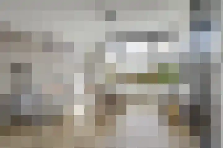 Duiveneestraat 24 Kruiningen thumbnail 4