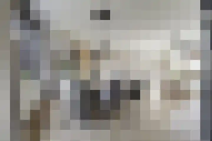 Duiveneestraat 24 Kruiningen thumbnail 8