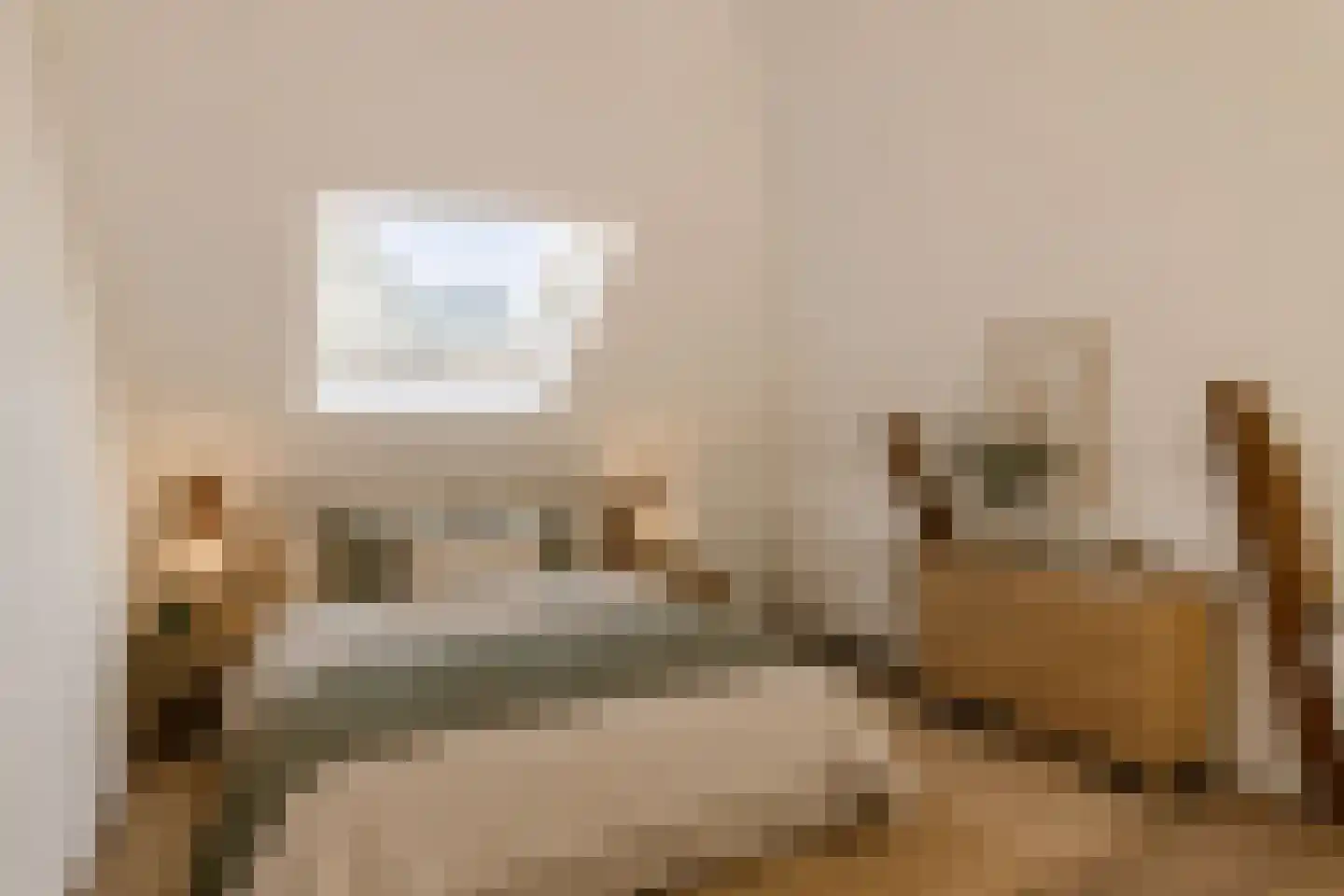Duivengang 11 Deventer thumbnail 13