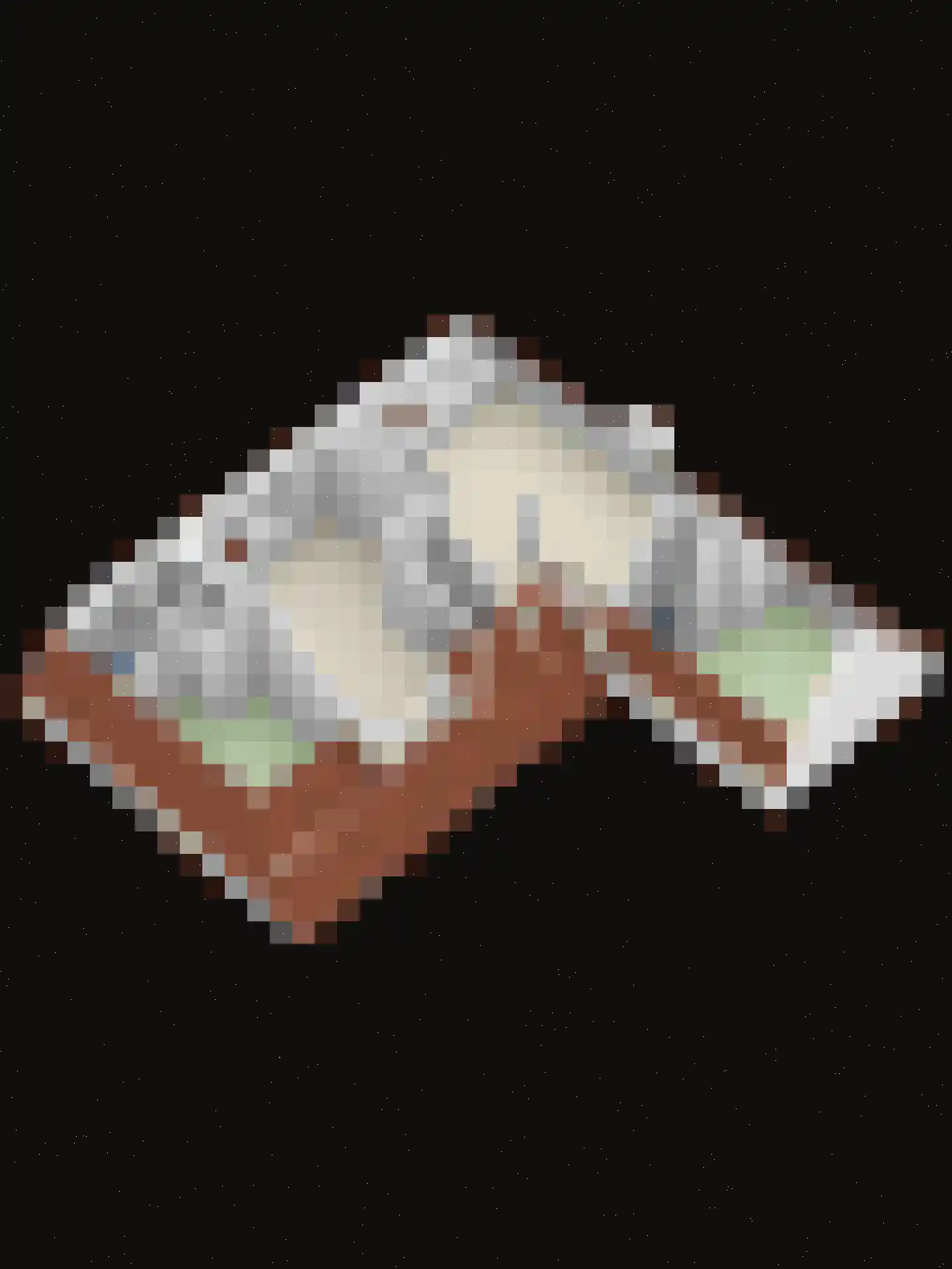 Duivengang 11 Deventer thumbnail 19
