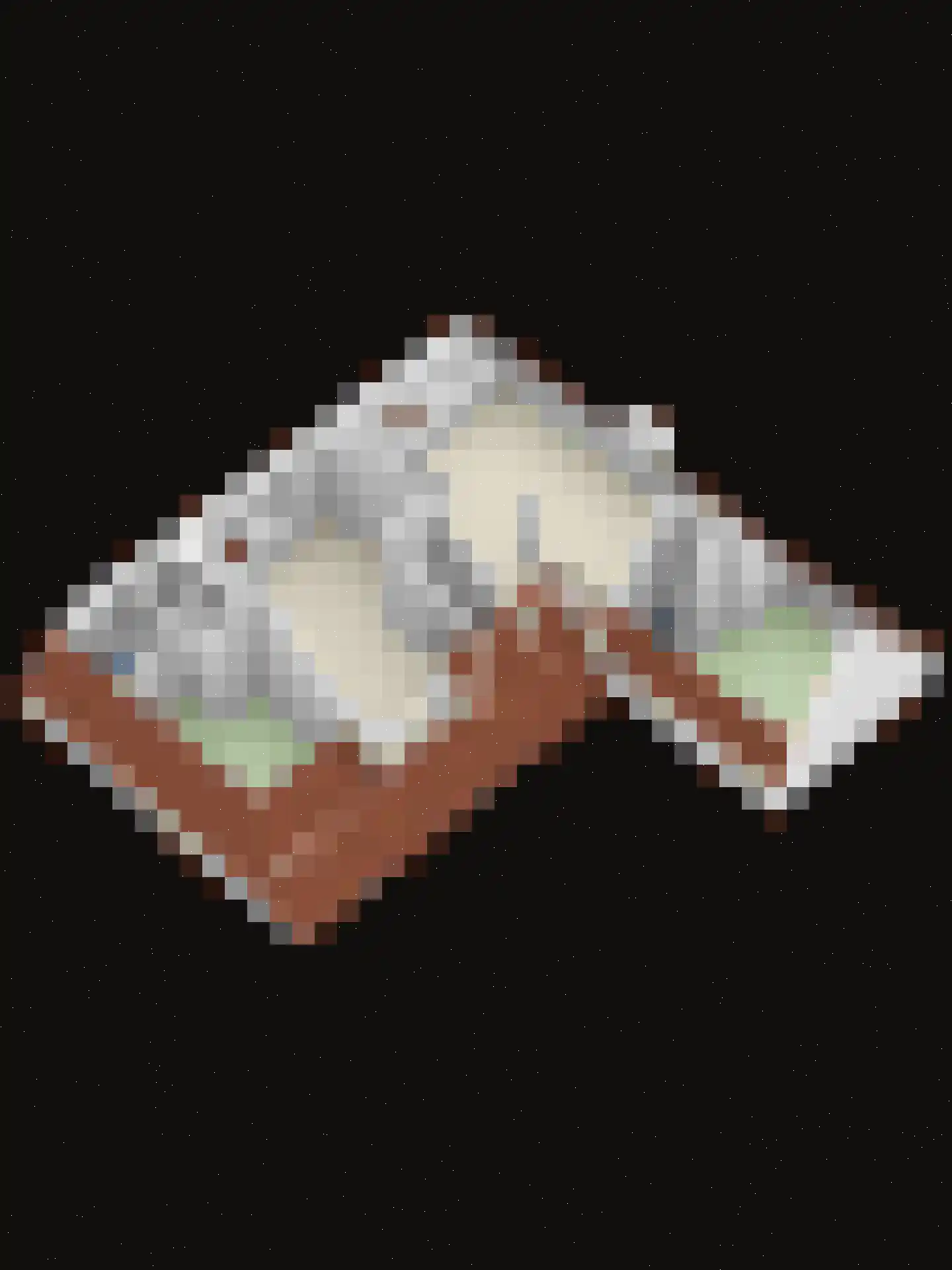 Duivengang 11 Deventer thumbnail 20
