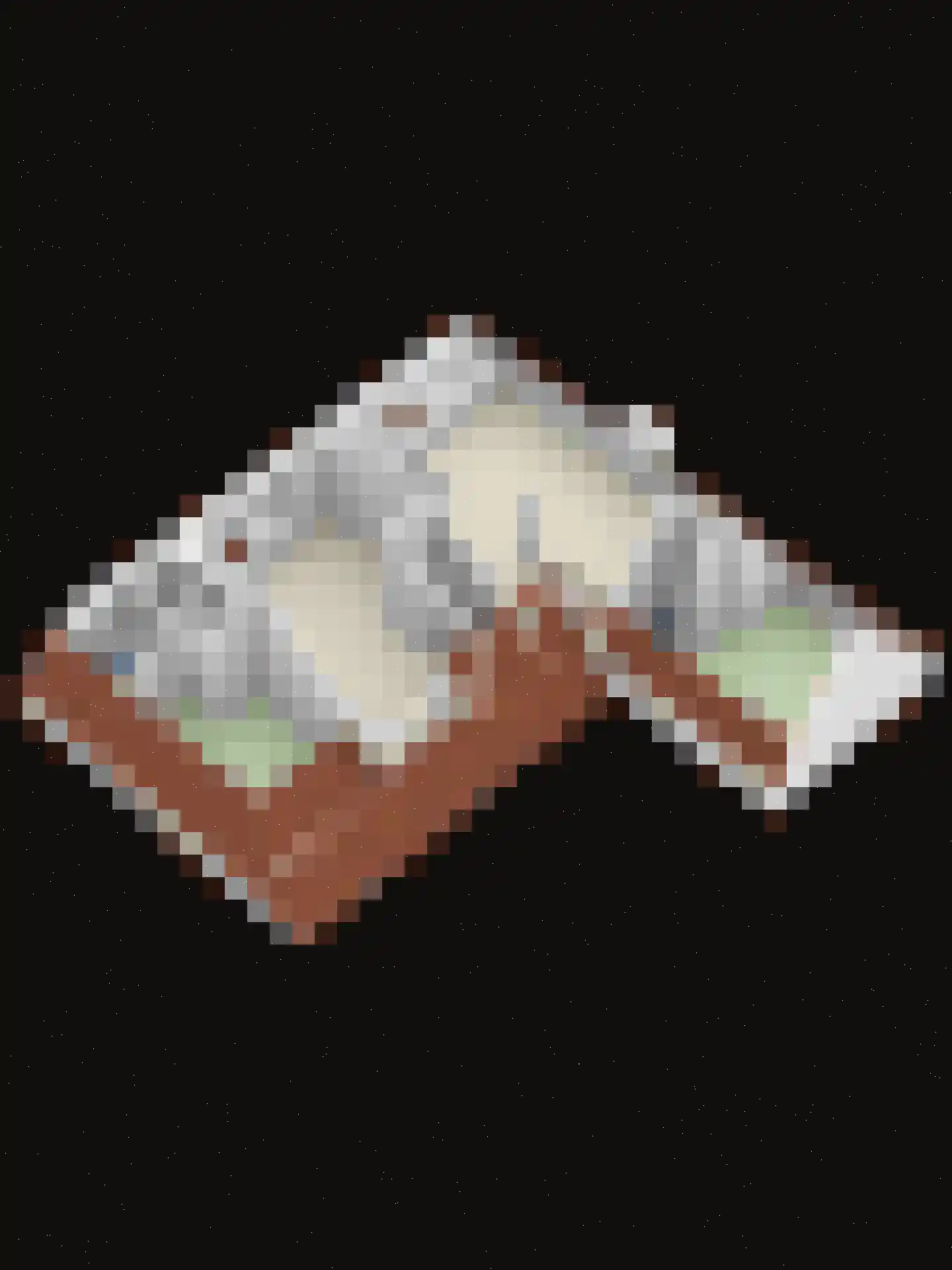 Duivengang 11 Deventer thumbnail 20