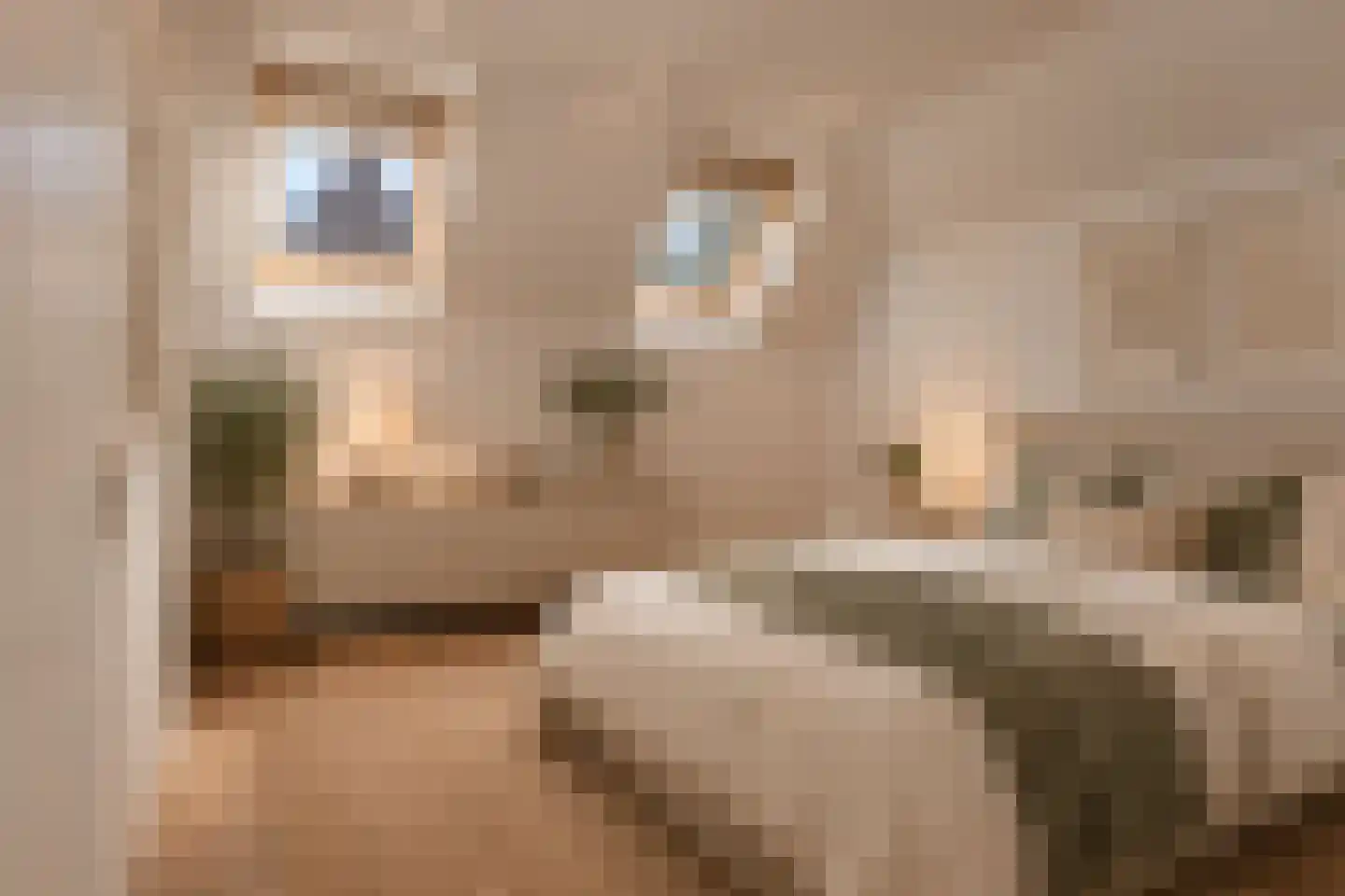 Duivengang 13 Deventer thumbnail 10