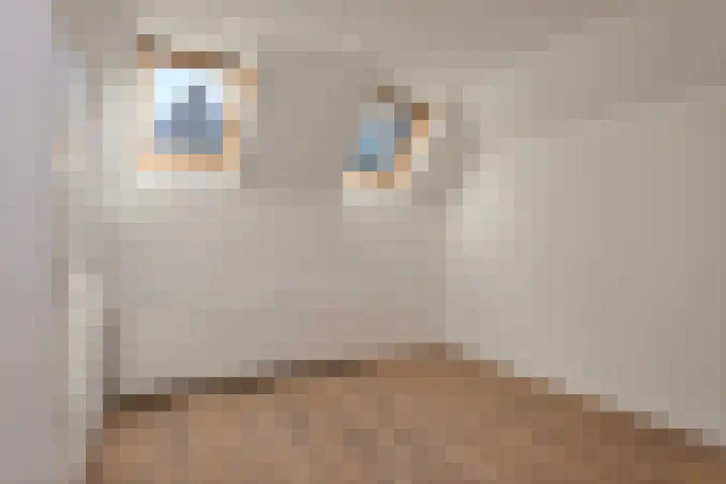Duivengang 13 Deventer thumbnail 9
