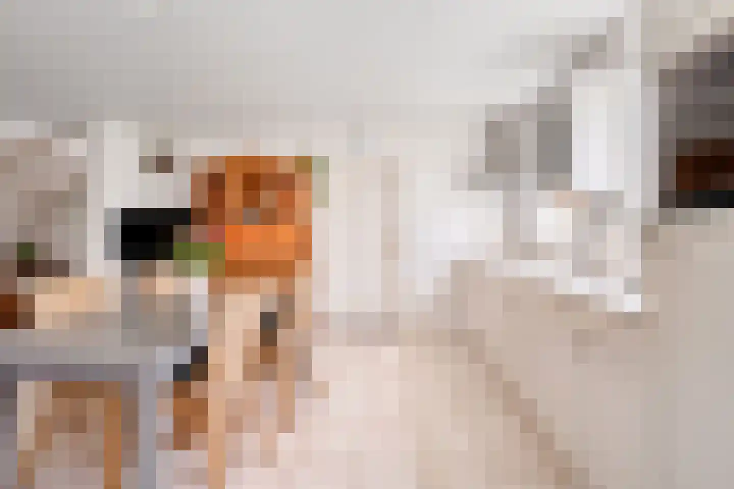 Duivenhoeksestraat 37 Graauw thumbnail 11