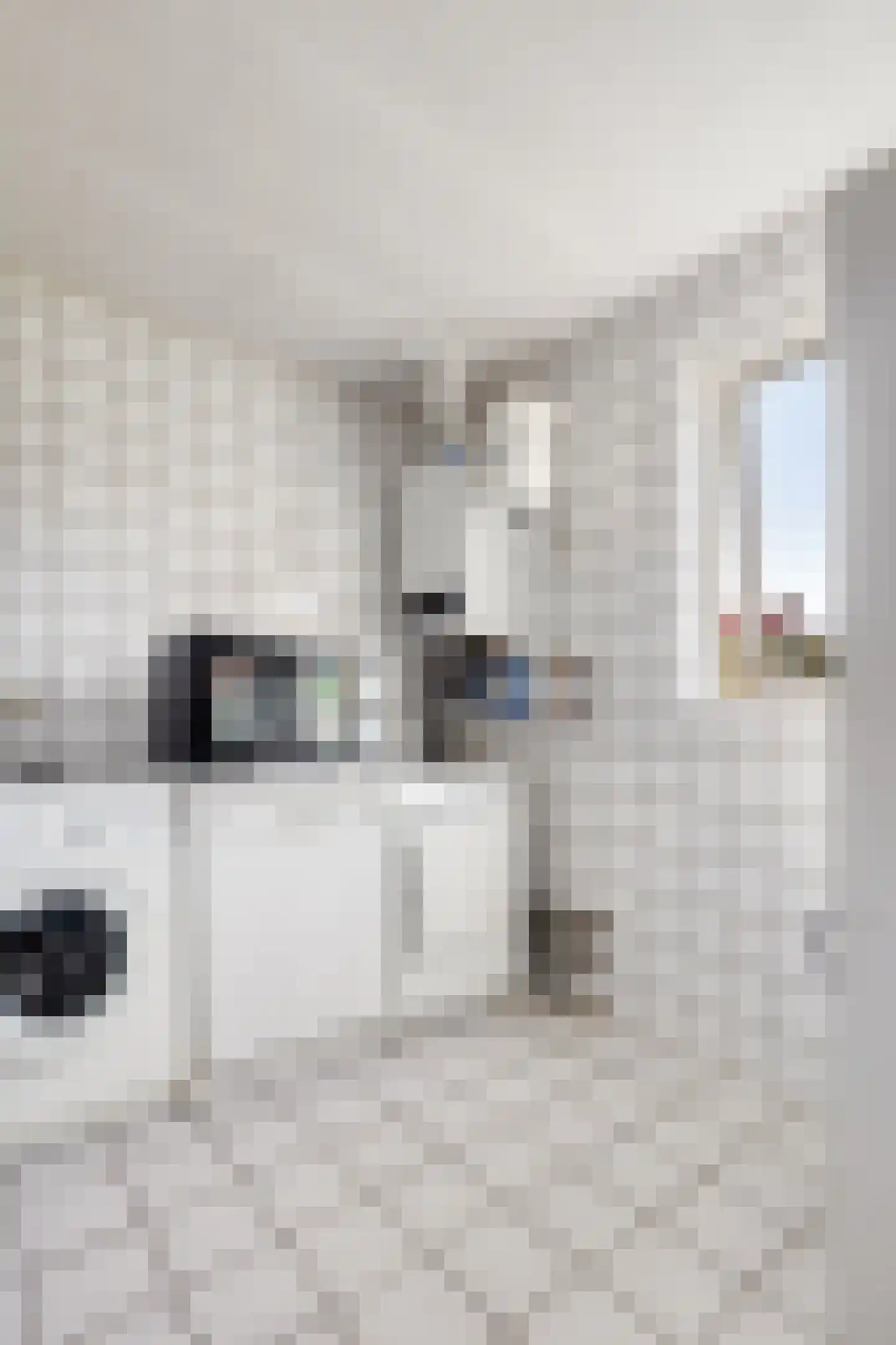 Duivenhoeksestraat 37 Graauw thumbnail 12