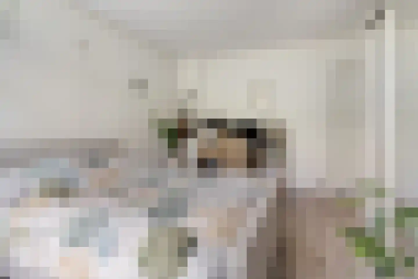 Duivenhoeksestraat 37 Graauw thumbnail 15