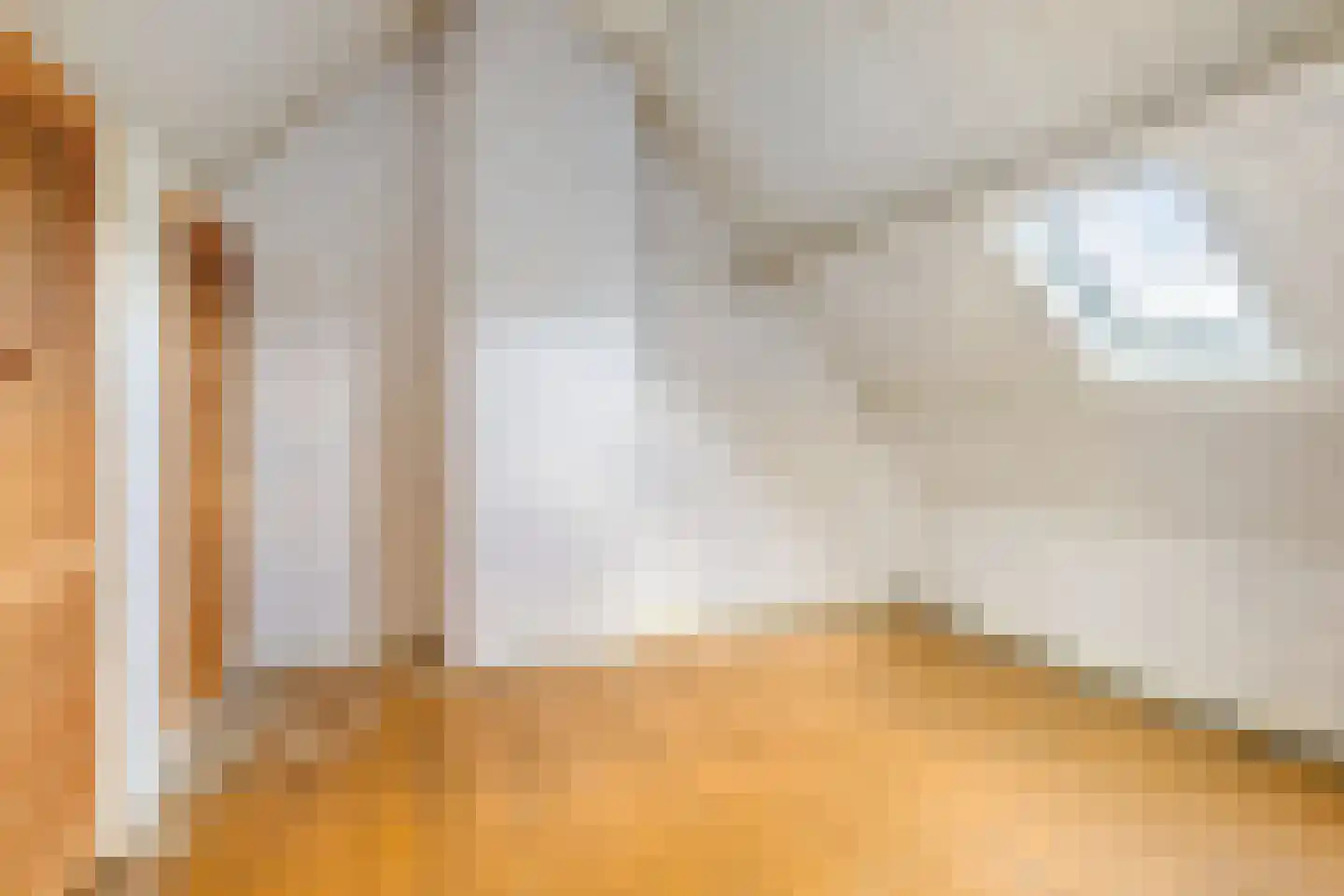 Duivenhoeksestraat 37 Graauw thumbnail 21
