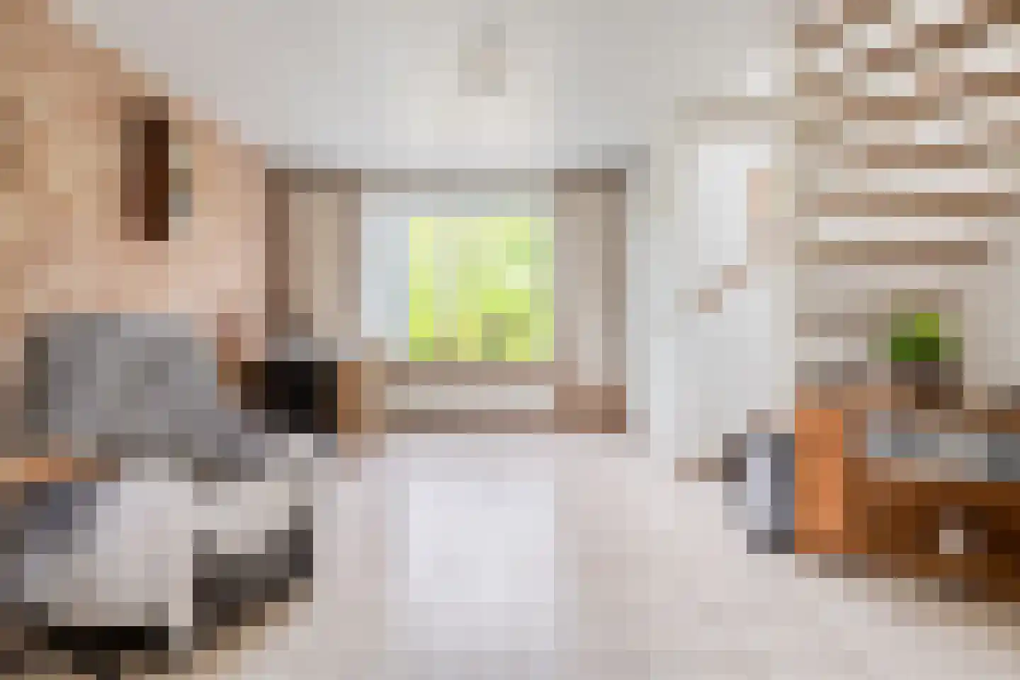 Duivenhoeksestraat 37 Graauw thumbnail 4