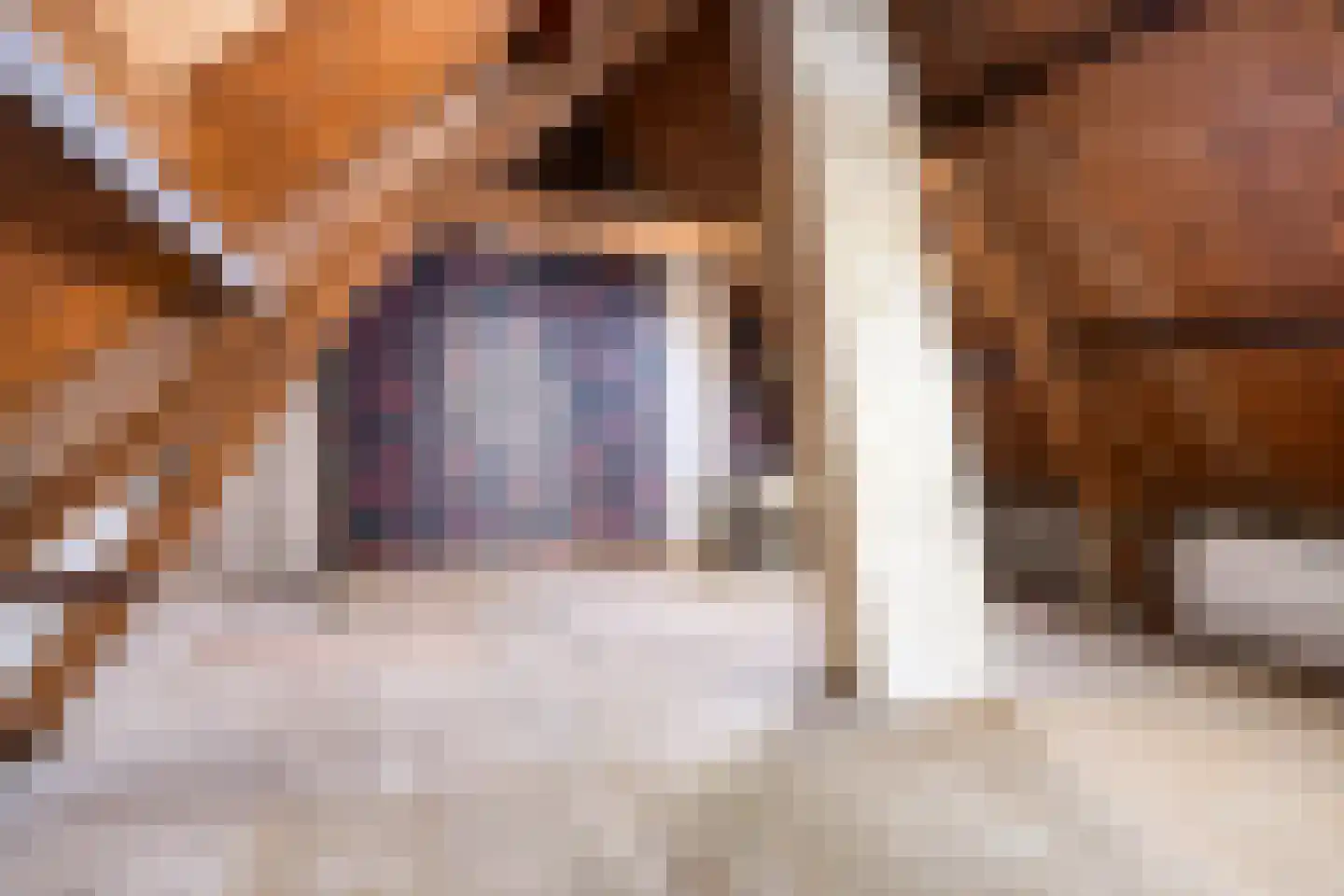Duivenhoekseweg 5 Kloosterzande thumbnail 20