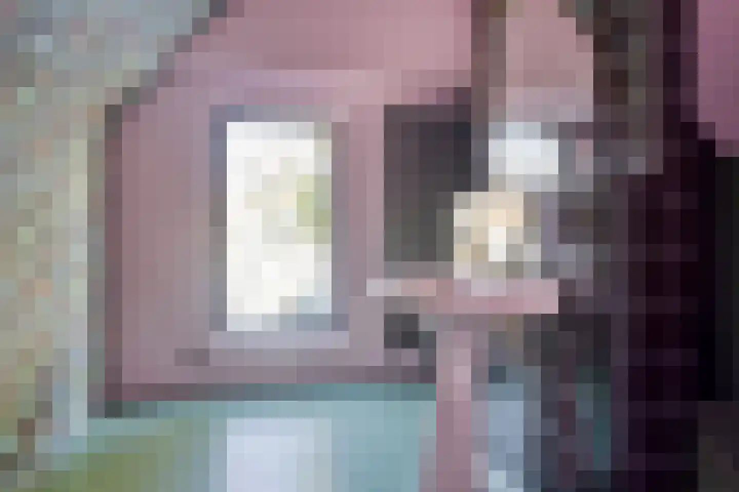 Duivenhoekseweg 5 Kloosterzande thumbnail 22