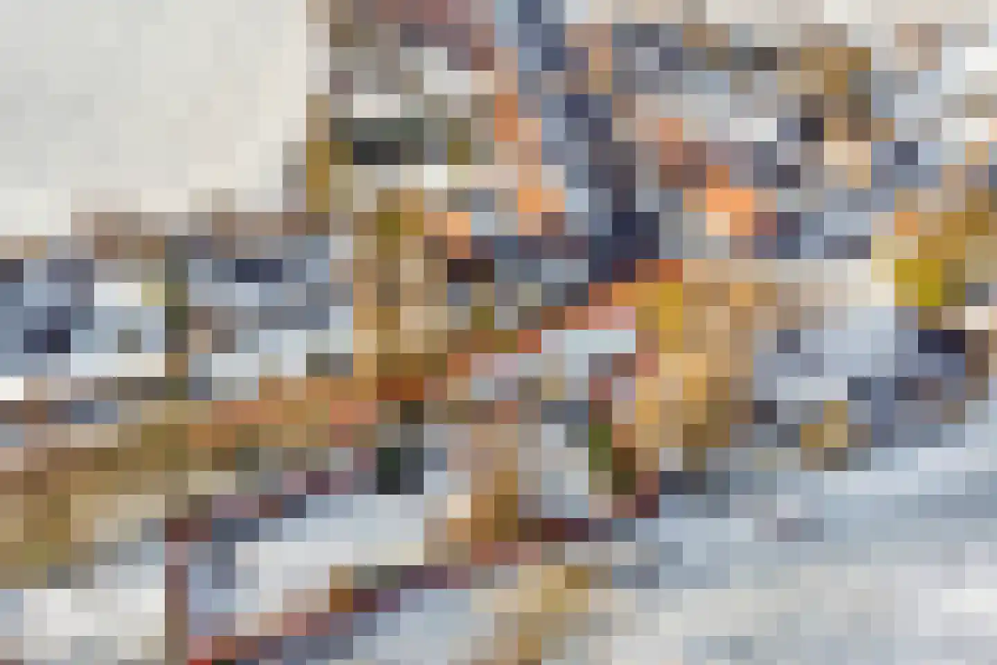 Duivenhoekseweg 5 Kloosterzande thumbnail 4