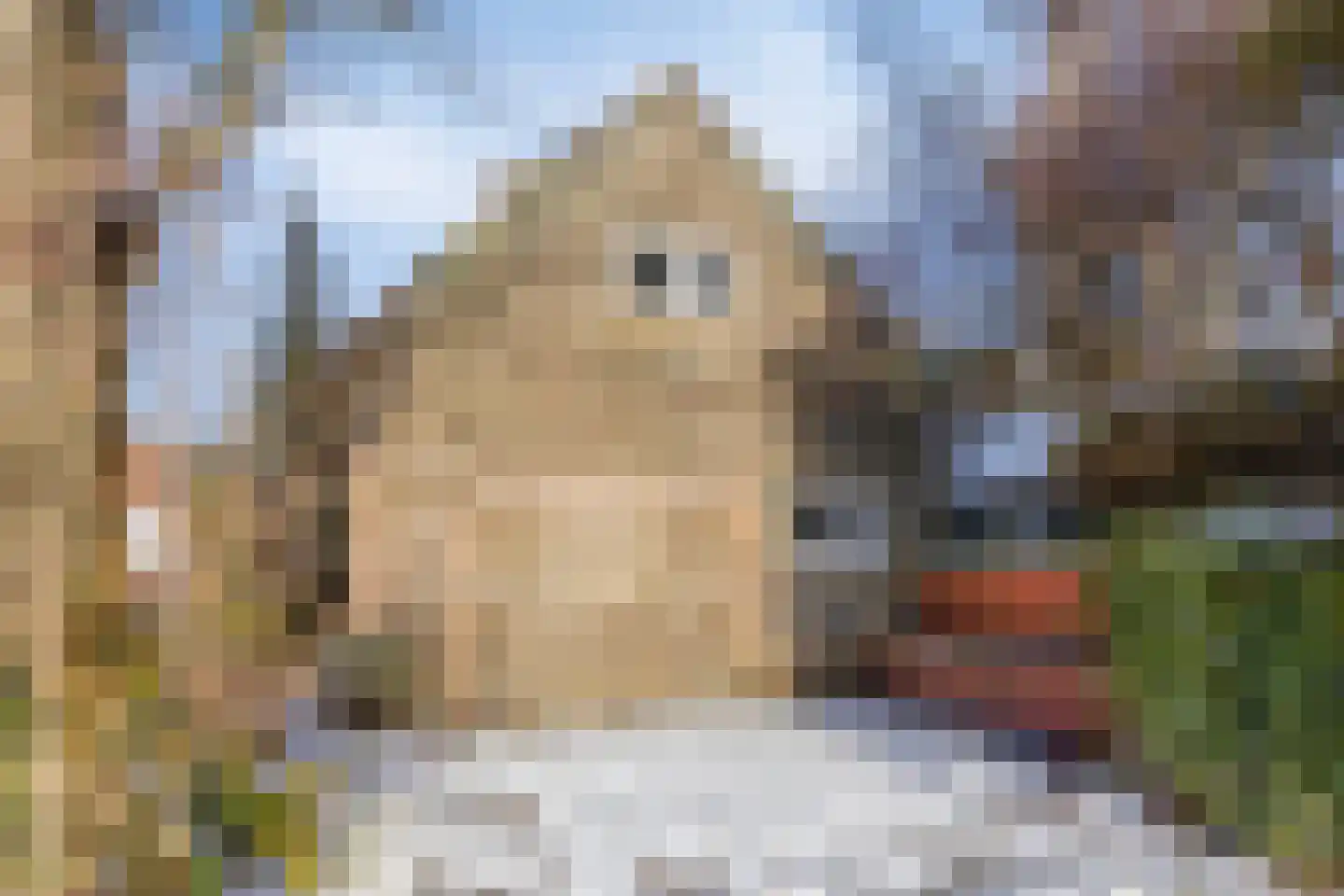 Duivenhoekseweg 5 Kloosterzande thumbnail 6