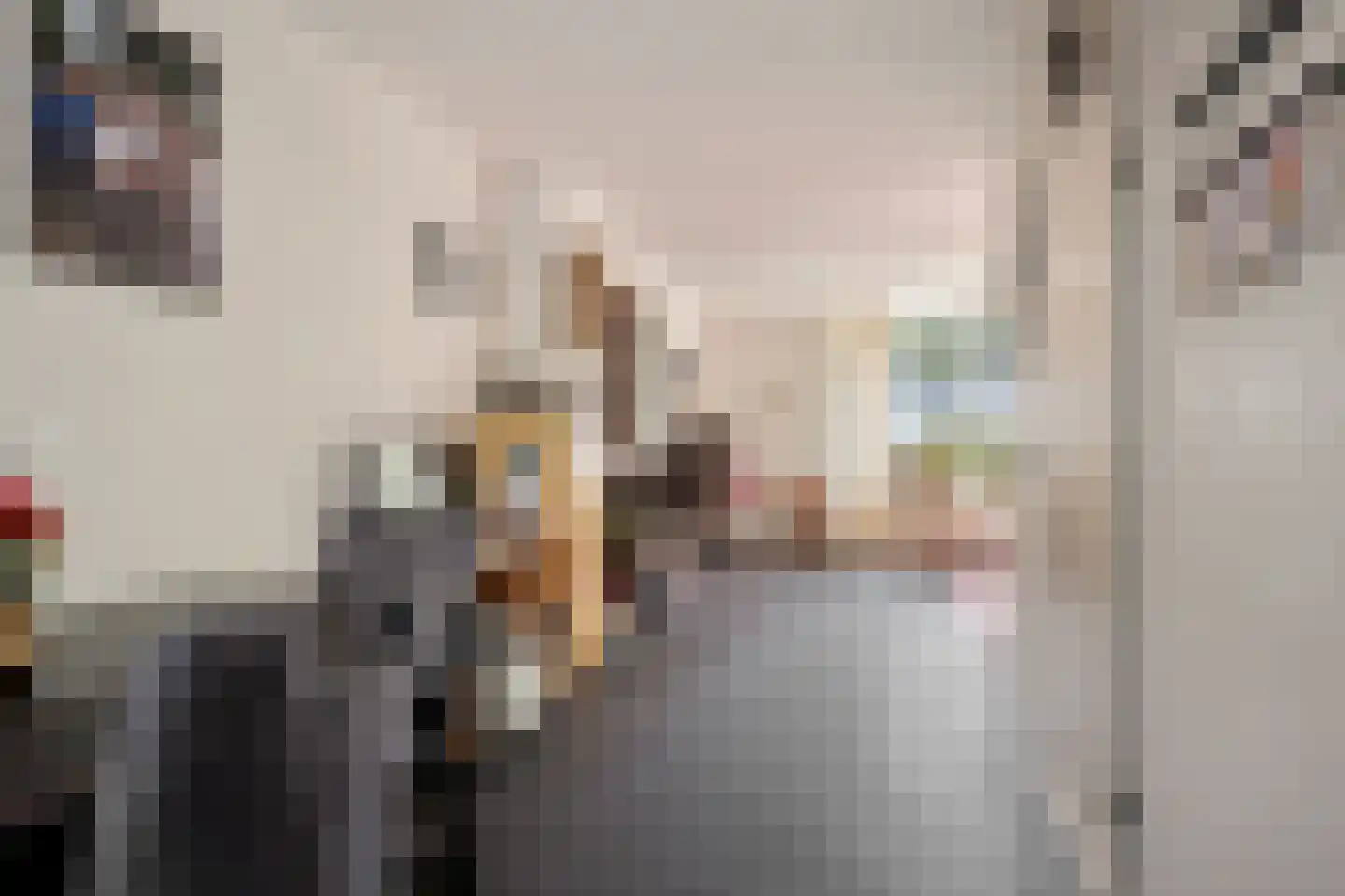 Duivenhof 1 Stadskanaal thumbnail 11