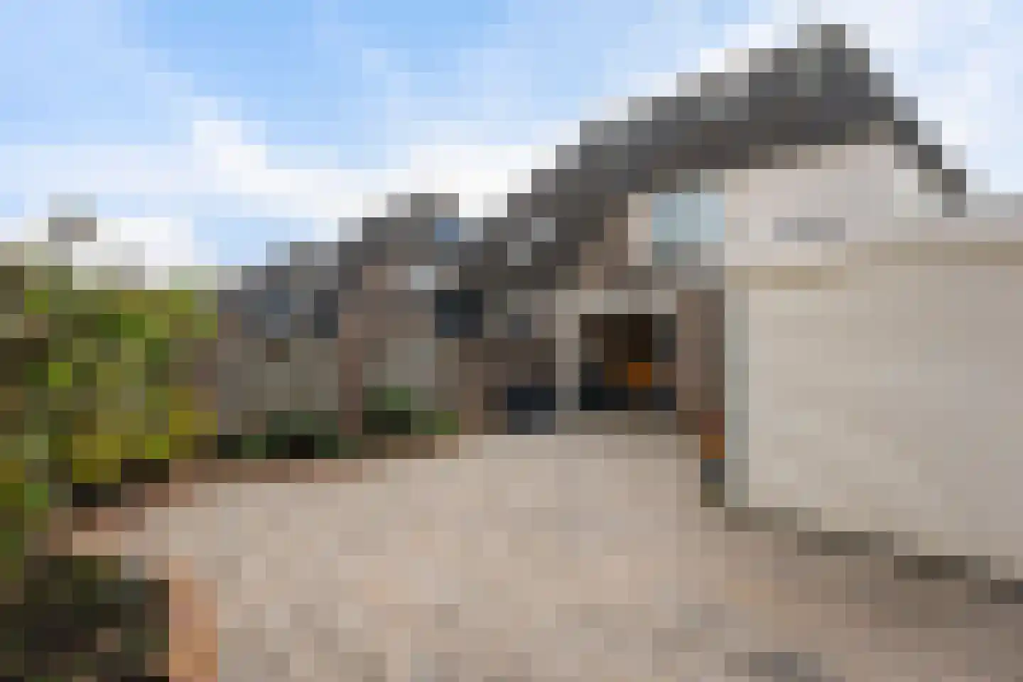 Duivenhof 1 Stadskanaal thumbnail 29