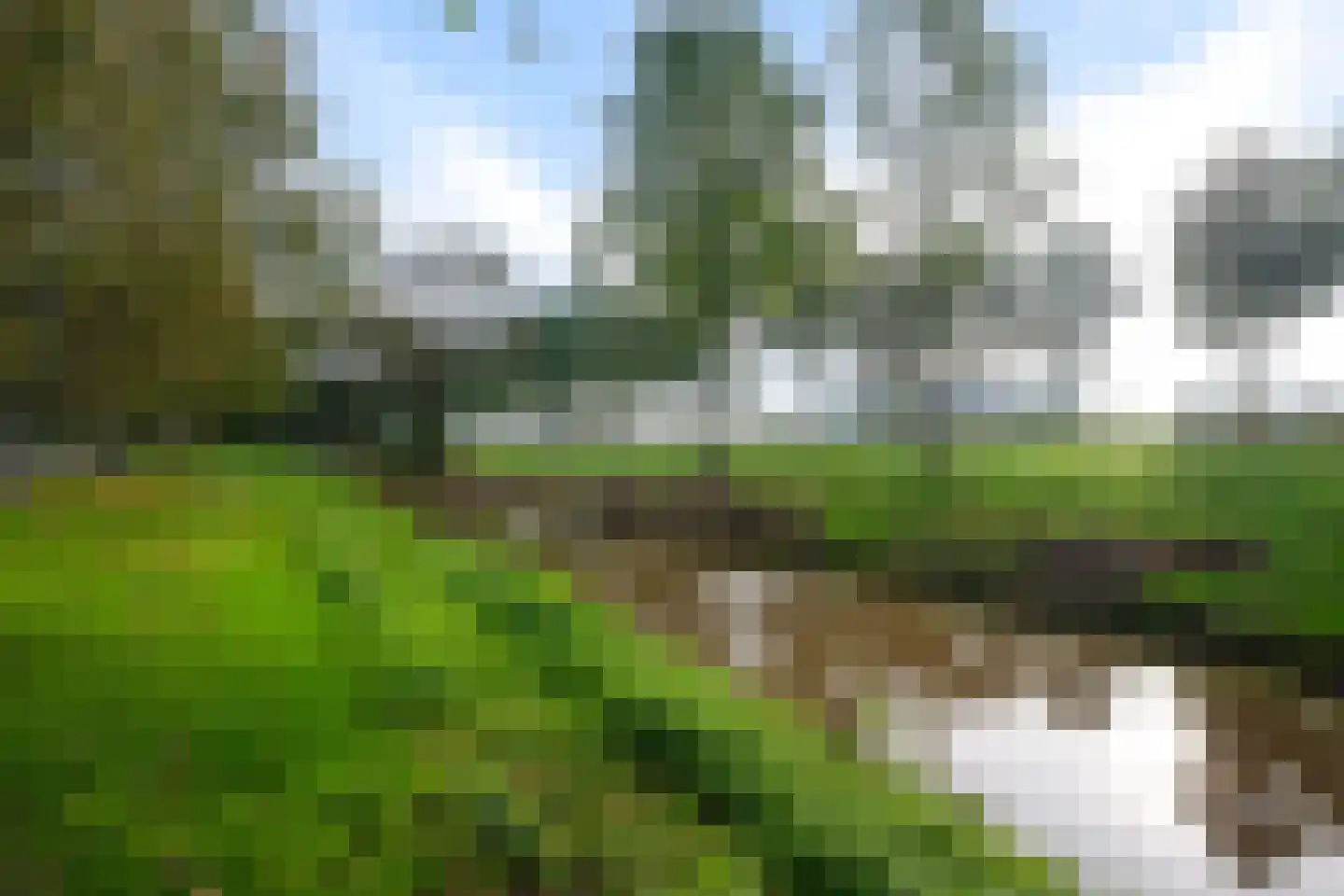 Duivenhof 1 Stadskanaal thumbnail 33