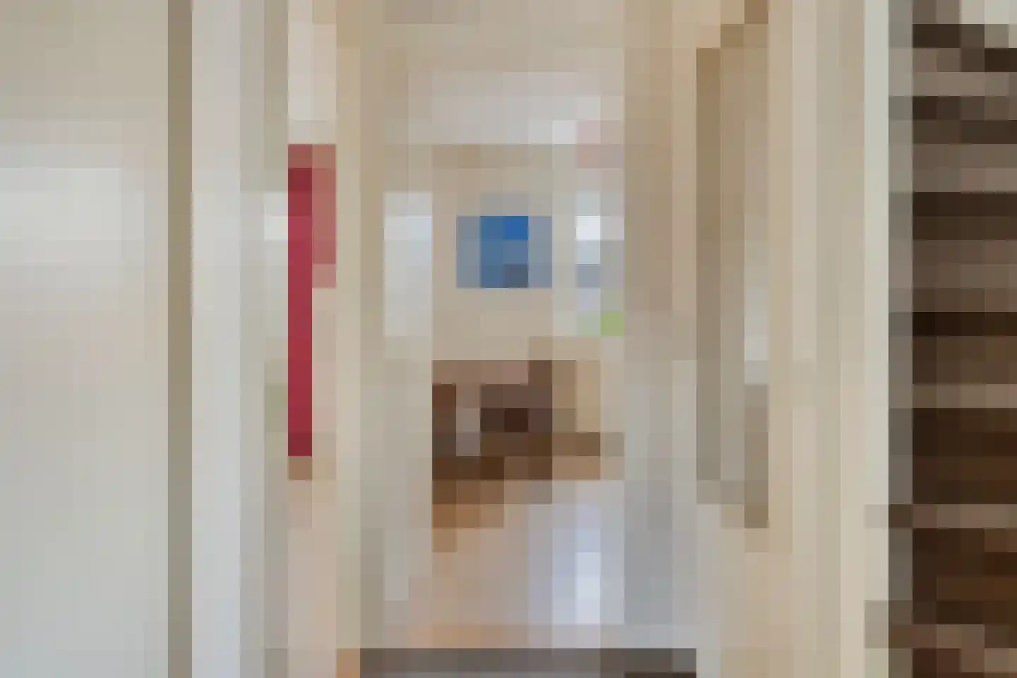 Duivenhof 30 Made thumbnail 14