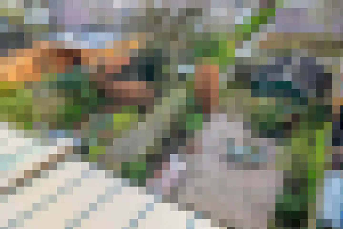Duivenhof 30 Made thumbnail 29
