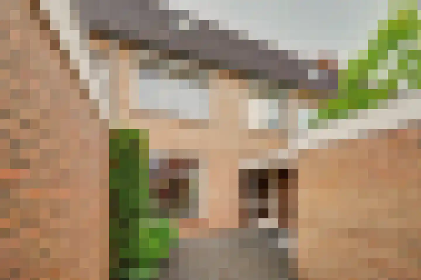 Duivenhof 30 Made thumbnail 37