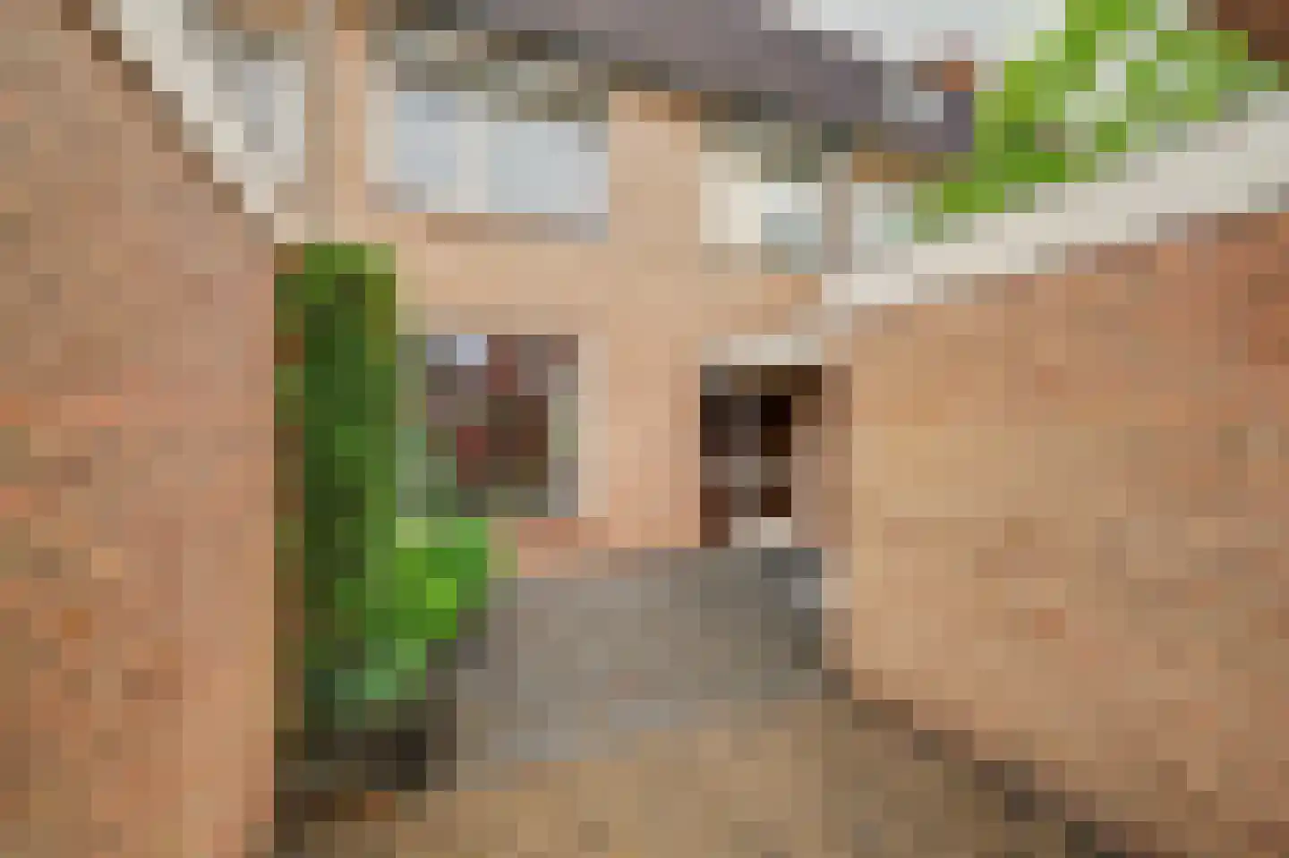 Duivenhof 30 Made thumbnail 5