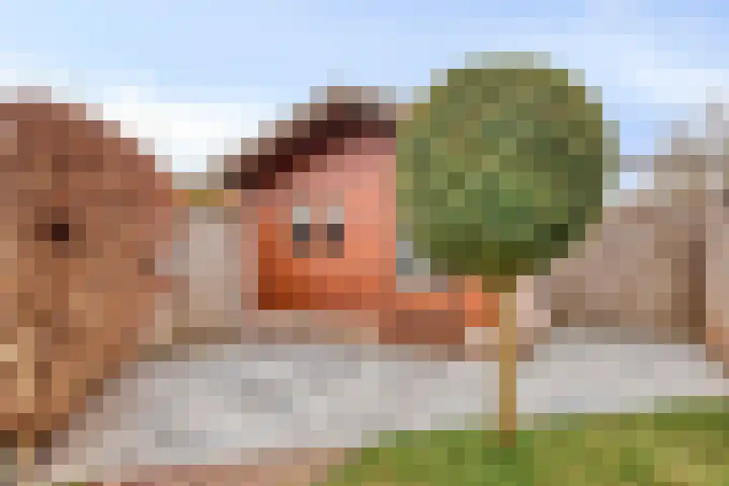 Duivenhof 37 Made thumbnail 40