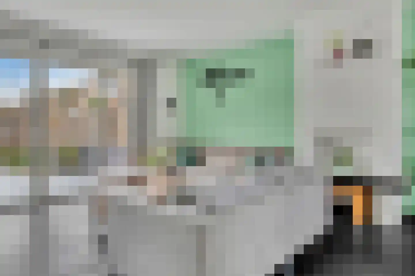Duivenhof 37 Made thumbnail 6