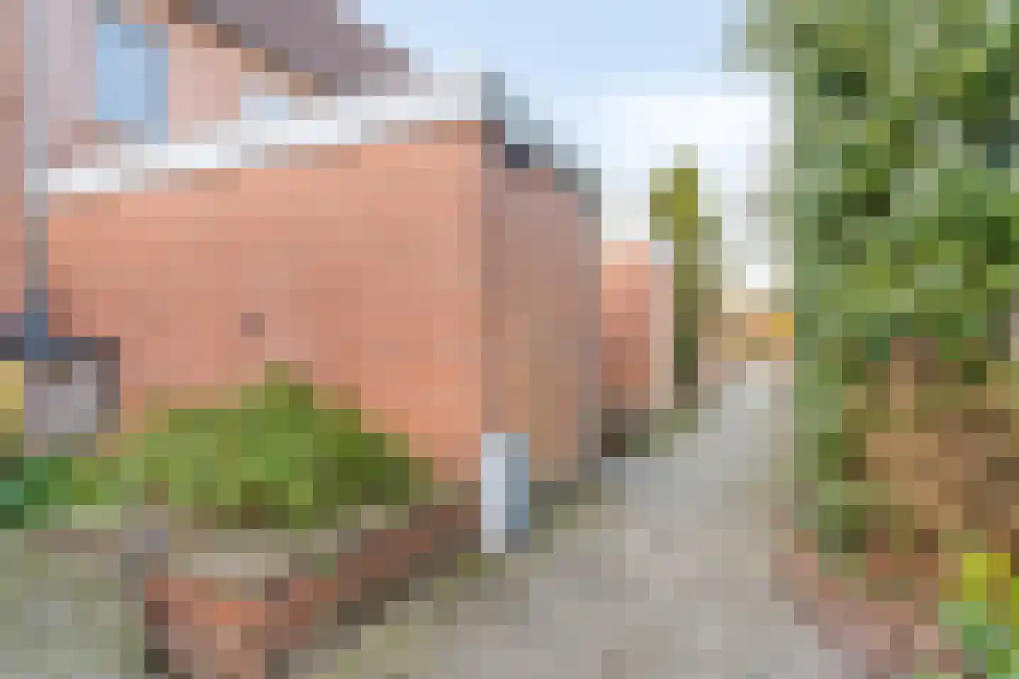 Duivenhof 9 Made thumbnail 39