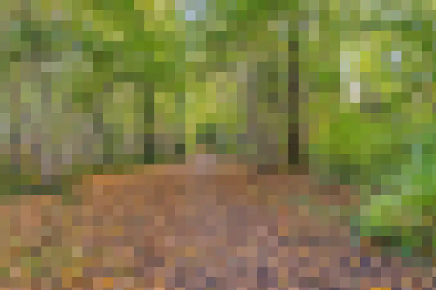 Duivenhof 9 Made thumbnail 41