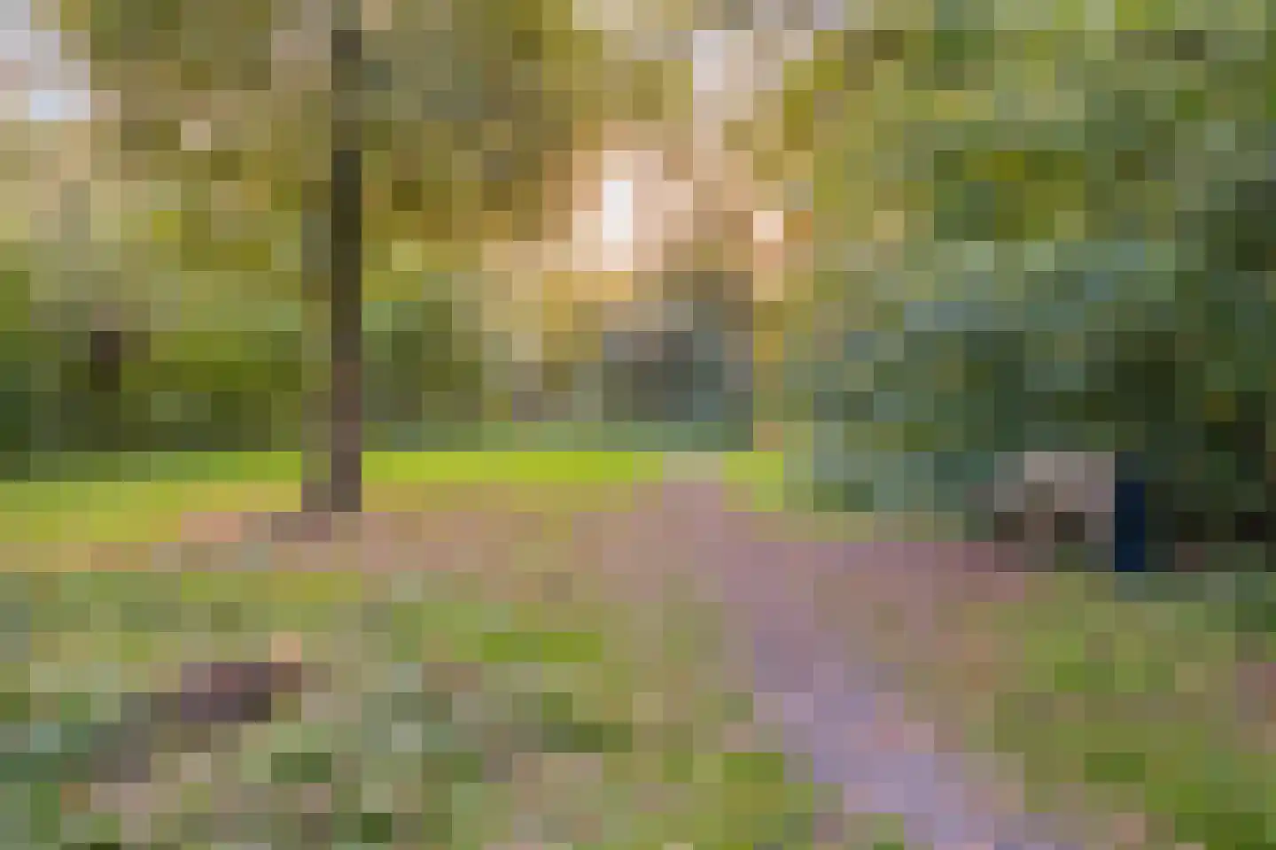 Duivenhof 9 Made thumbnail 42
