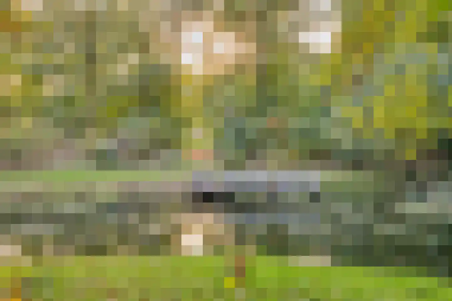 Duivenhof 9 Made thumbnail 43