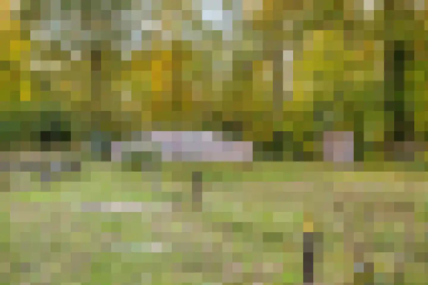 Duivenhof 9 Made thumbnail 44