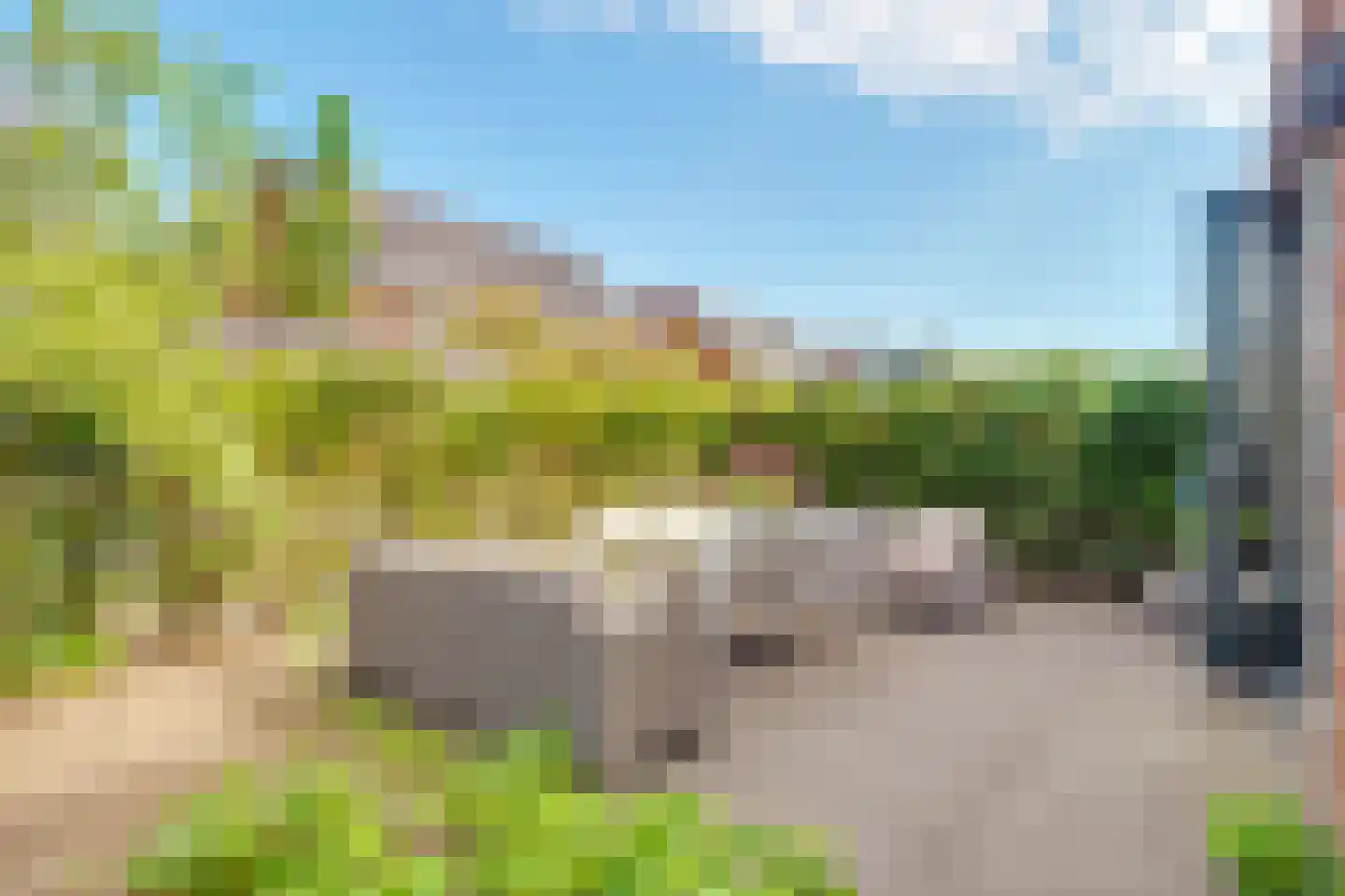 Duivenhorst 2 Den Dolder thumbnail 29