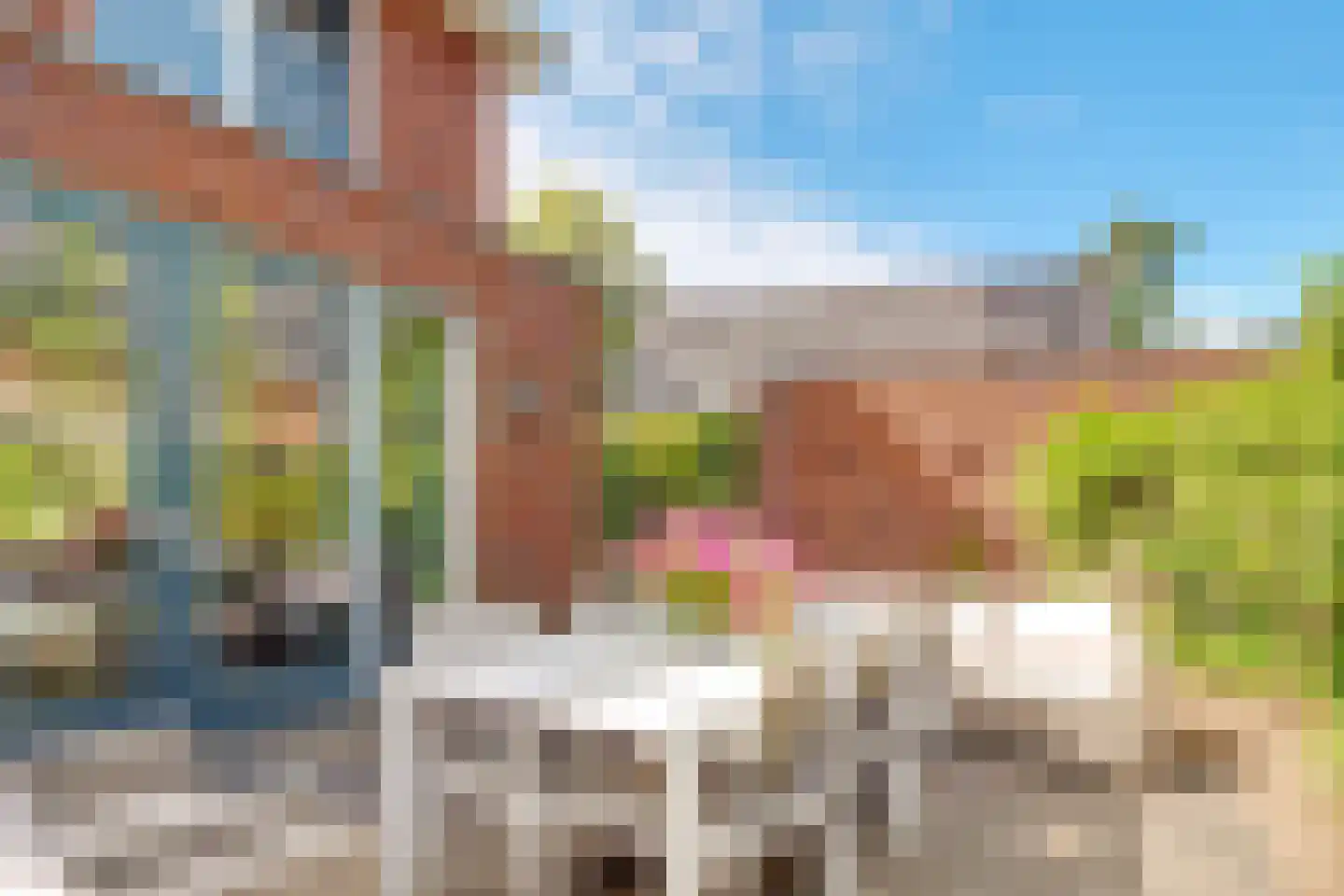 Duivenhorst 2 Den Dolder thumbnail 31