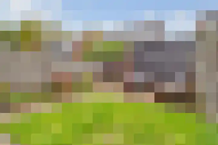 Duivenhorst 8 Den Dolder thumbnail 39