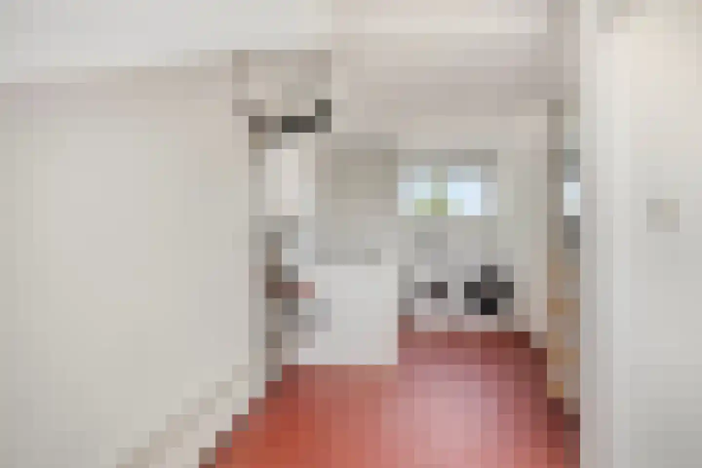 Duivenkamp 13 Maarssen thumbnail 30