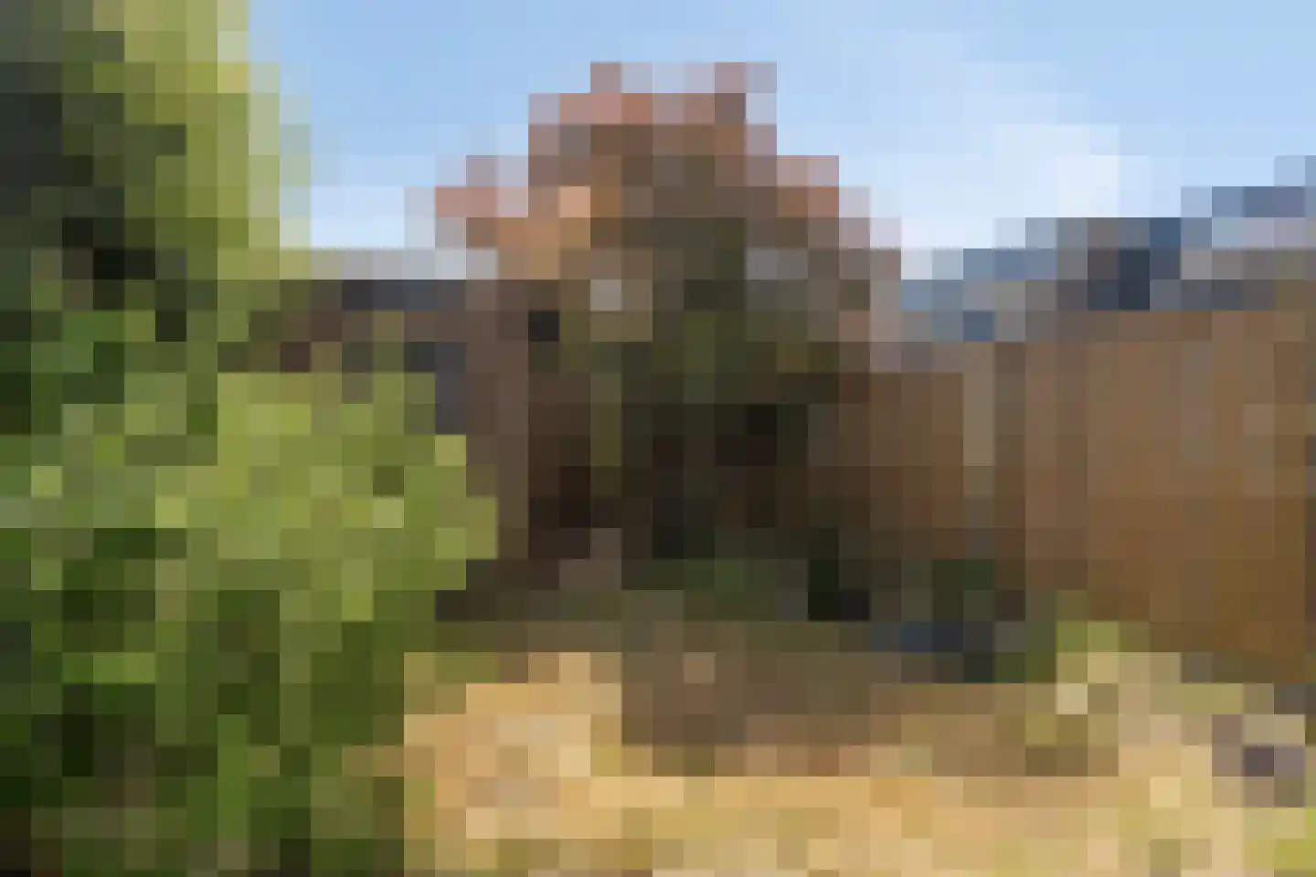 Duivenkamp 13 Maarssen thumbnail 35