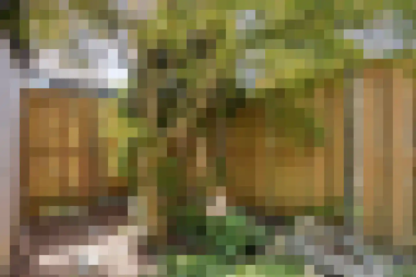 Duivenkamp 13 Maarssen thumbnail 36