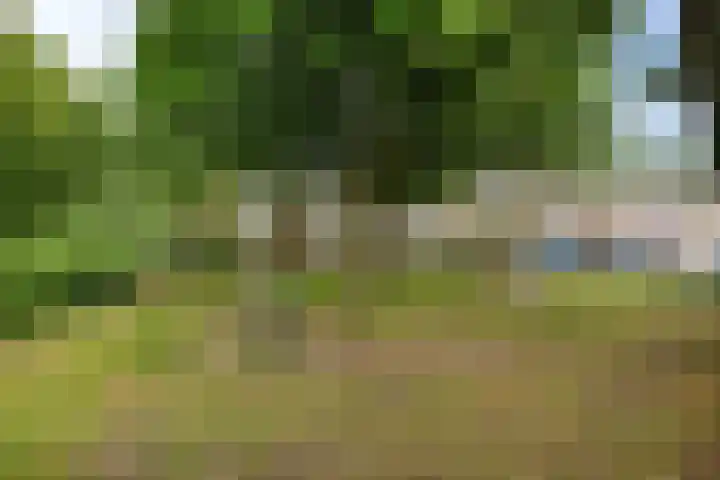 Duivenkamp 151 Maarssen thumbnail 31