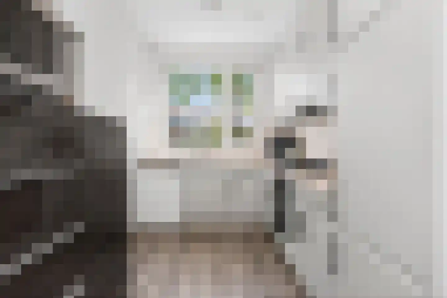 Duivenkamp 184 Maarssen thumbnail 10