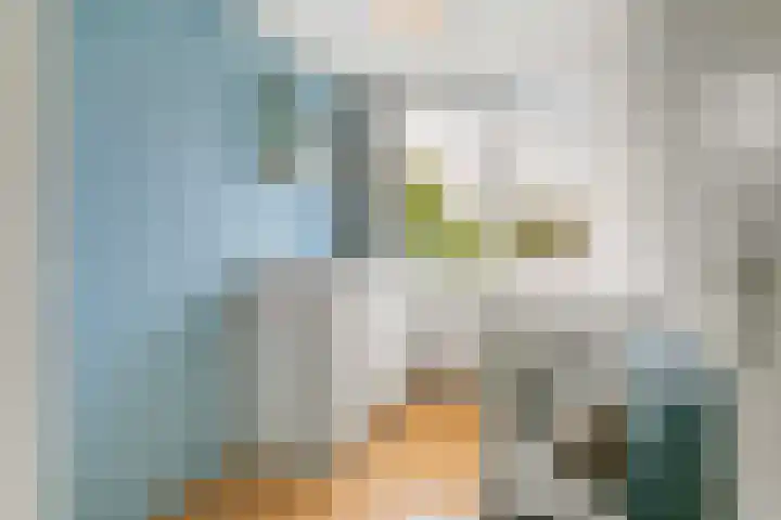 Duivenkamp 193 Maarssen thumbnail 18