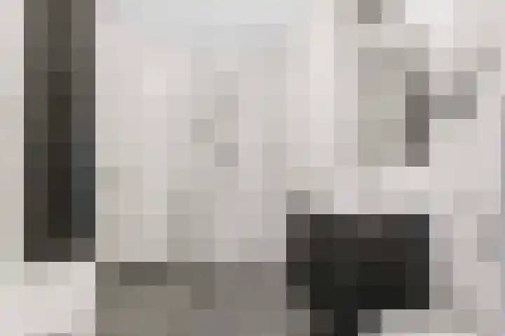 Duivenkamp 193 Maarssen thumbnail 19