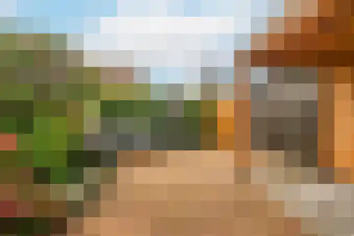 Duivenkamp 193 Maarssen thumbnail 22