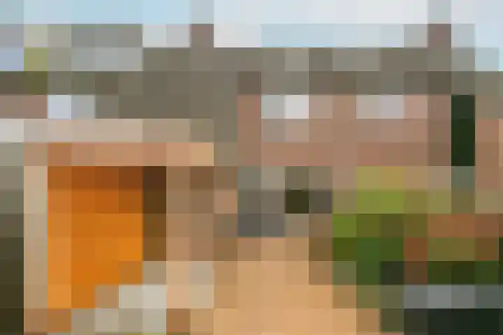 Duivenkamp 193 Maarssen thumbnail 24